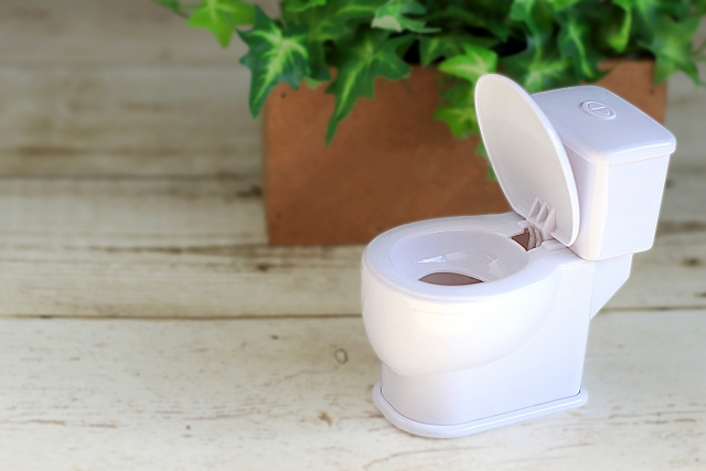 血便・便潜血陽性とは